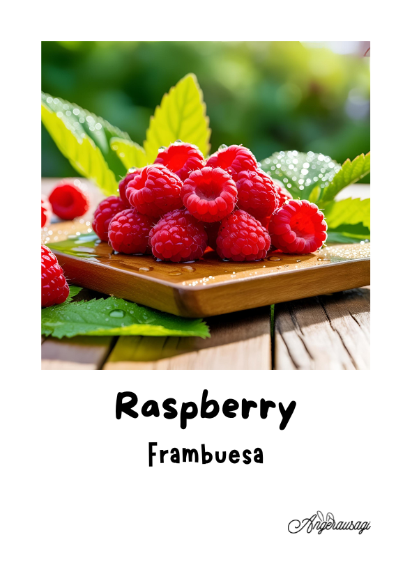 Fichas educativas inglés-español frutas