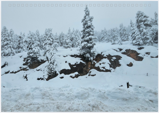 Calendario 2026 Platos